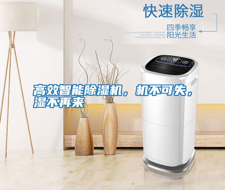 高效智能除濕機(jī)，機(jī)不可失，濕不再來