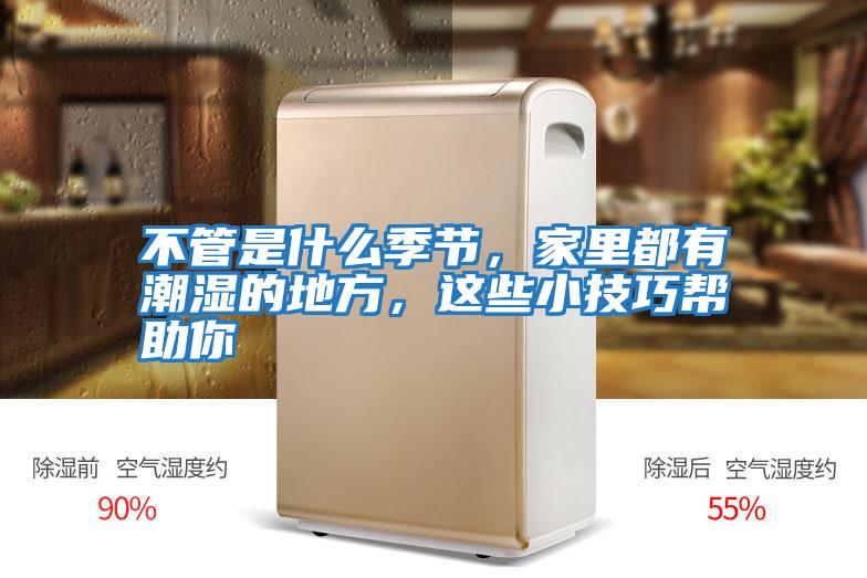 不管是什么季節，家里都有潮濕的地方，這些小技巧幫助你