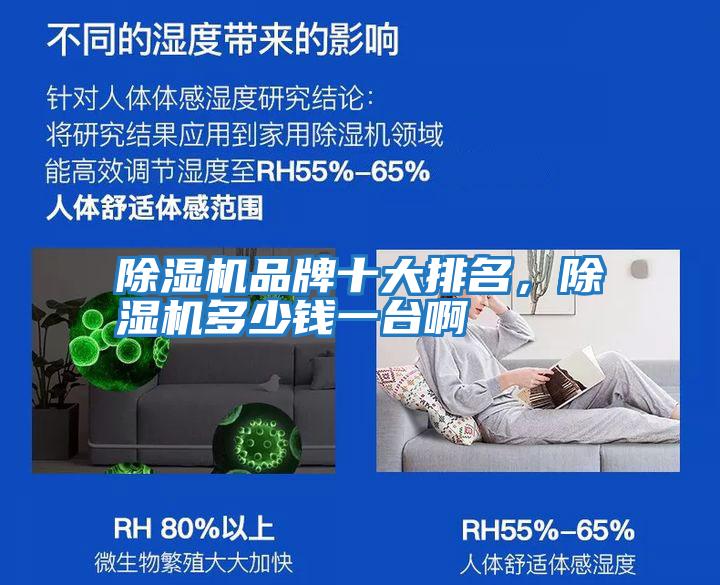 除濕機品牌十大排名，除濕機多少錢一臺啊