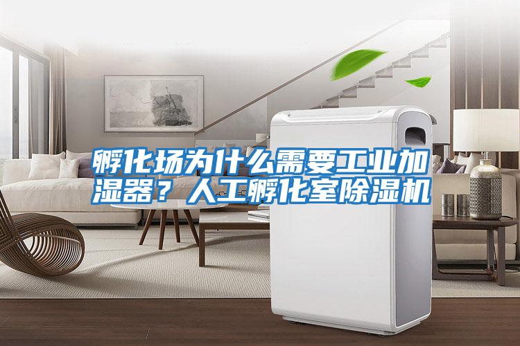 孵化場為什么需要工業(yè)加濕器？人工孵化室除濕機