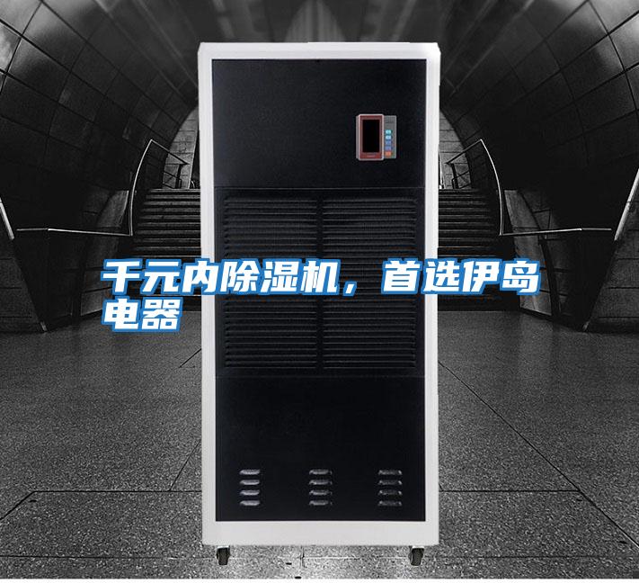 千元內(nèi)除濕機，首選伊島電器