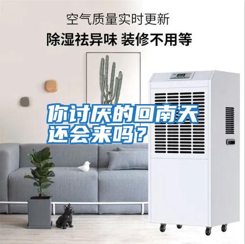 你討厭的回南天還會(huì)來(lái)嗎？