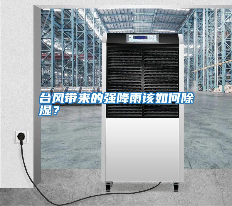 臺風帶來的強降雨該如何除濕？
