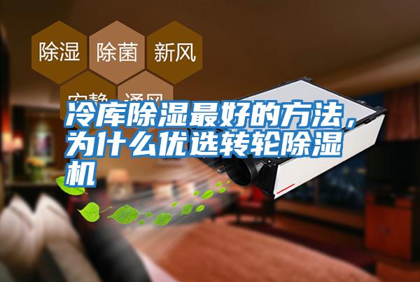 冷庫(kù)除濕最好的方法，為什么優(yōu)選轉(zhuǎn)輪除濕機(jī)