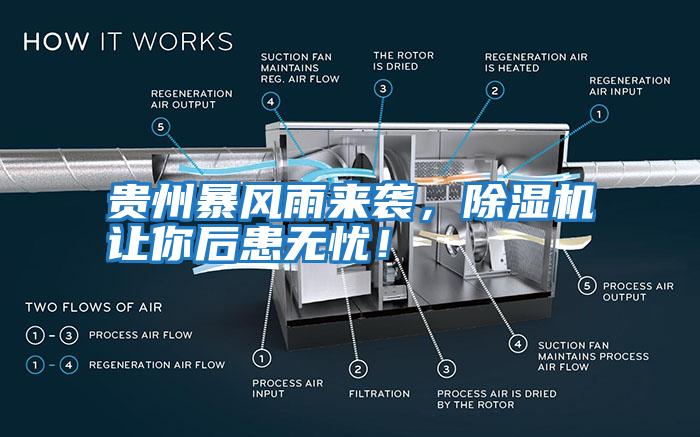 貴州暴風(fēng)雨來(lái)襲，除濕機(jī)讓你后患無(wú)憂(yōu)！