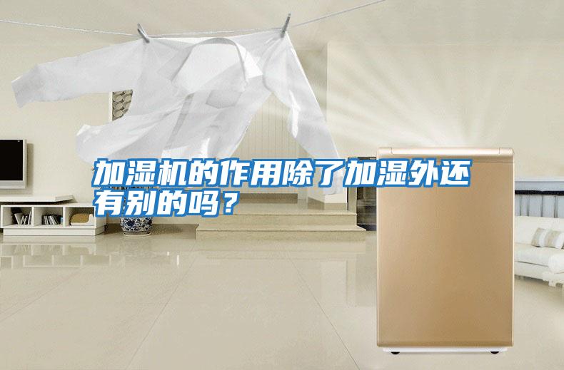 加濕機的作用除了加濕外還有別的嗎？