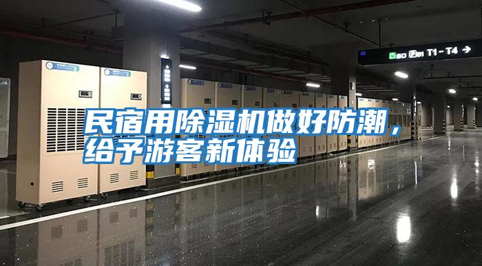 民宿用除濕機(jī)做好防潮，給予游客新體驗(yàn)