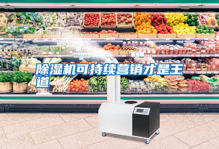 除濕機可持續(xù)營銷才是王道