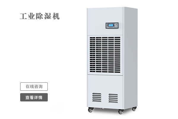 四季都潮濕，一臺(tái)除濕機(jī)就可以解決