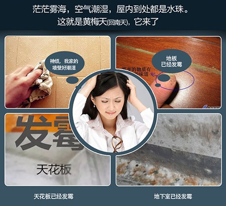 梅雨季將至，除濕機了解一下！