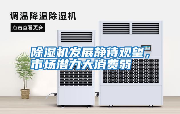 除濕機(jī)發(fā)展靜待觀望，市場潛力大消費(fèi)弱