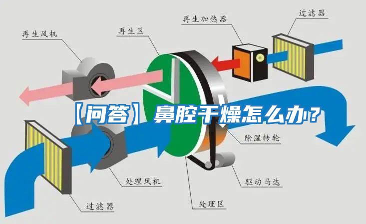 【問答】鼻腔干燥怎么辦？