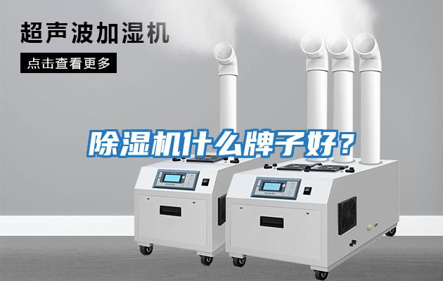 除濕機什么牌子好？