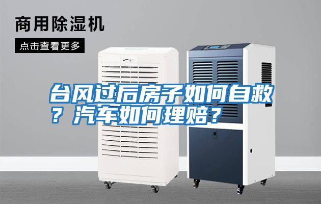 臺風過后房子如何自救？汽車如何理賠？
