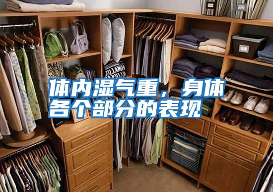 體內(nèi)濕氣重，身體各個(gè)部分的表現(xiàn)