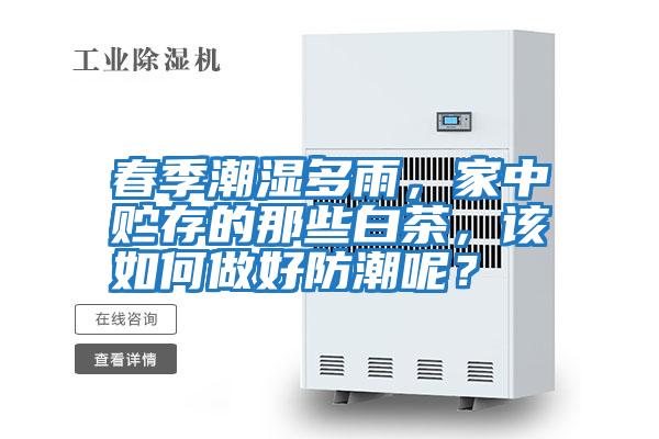 春季潮濕多雨，家中貯存的那些白茶，該如何做好防潮呢？