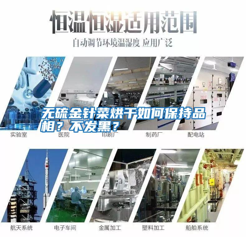 無硫金針菜烘干如何保持品相？不發(fā)黑？