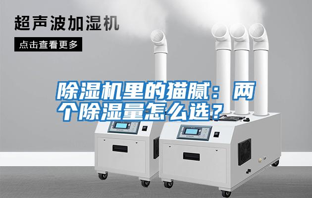 除濕機里的貓膩：兩個除濕量怎么選？