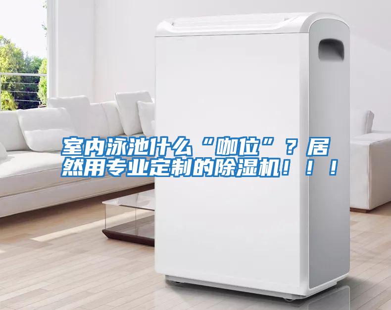 室內(nèi)泳池什么“咖位”？居然用專業(yè)定制的除濕機(jī)?。。?/></p>
						    <p style=