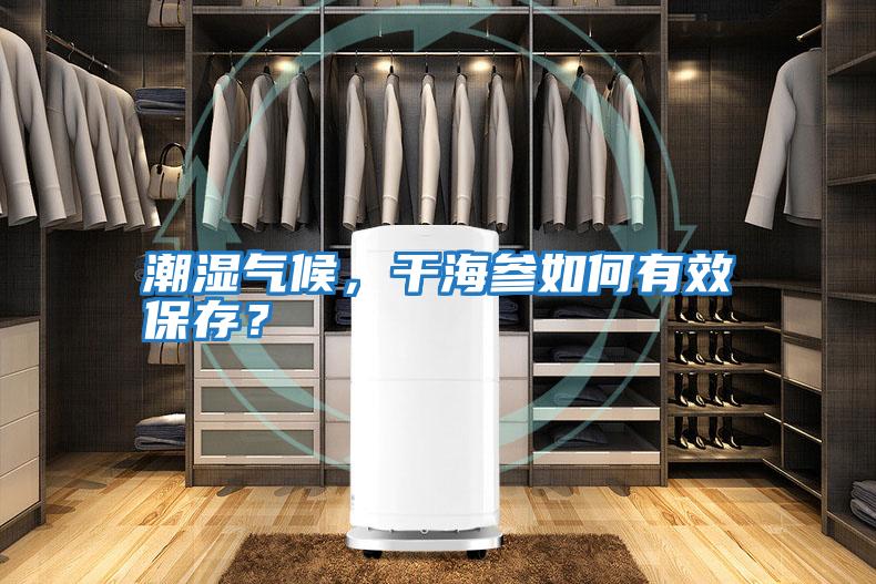 潮濕氣候，干海參如何有效保存？