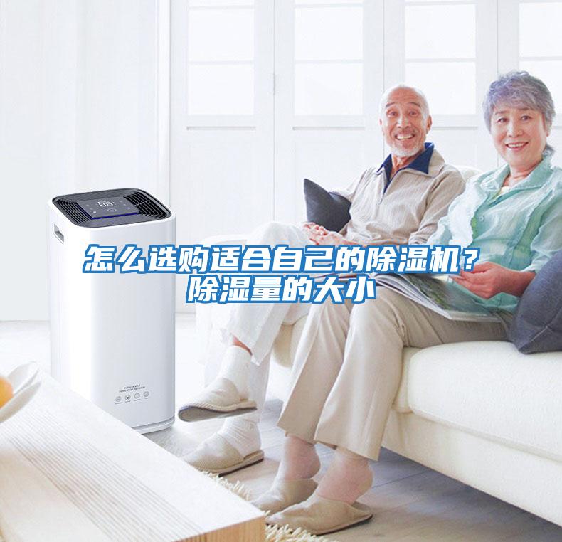 怎么選購適合自己的除濕機？除濕量的大小