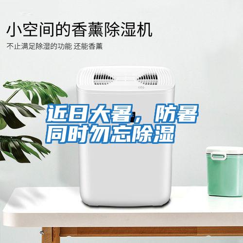 近日大暑，防暑同時勿忘除濕