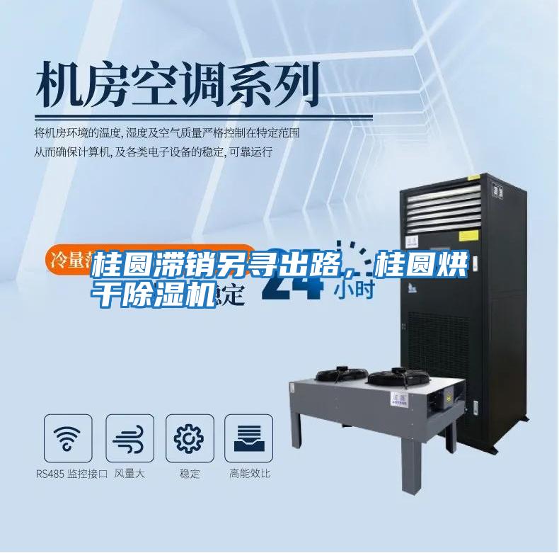 桂圓滯銷另尋出路，桂圓烘干除濕機(jī)