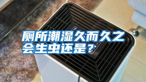 廁所潮濕久而久之會生蟲還是？