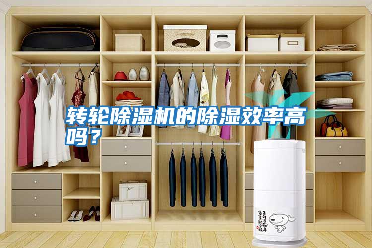 轉(zhuǎn)輪除濕機的除濕效率高嗎？
