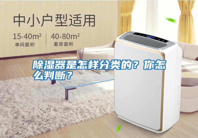 除濕器是怎樣分類的？你怎么判斷？