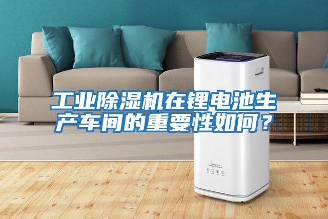 工業(yè)除濕機在鋰電池生產車間的重要性如何？