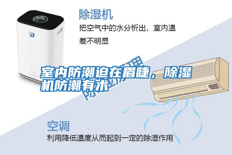 室內防潮迫在眉睫，除濕機防潮有術