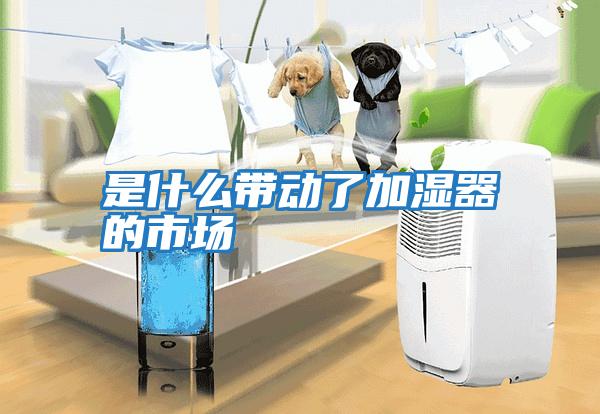 是什么帶動(dòng)了加濕器的市場