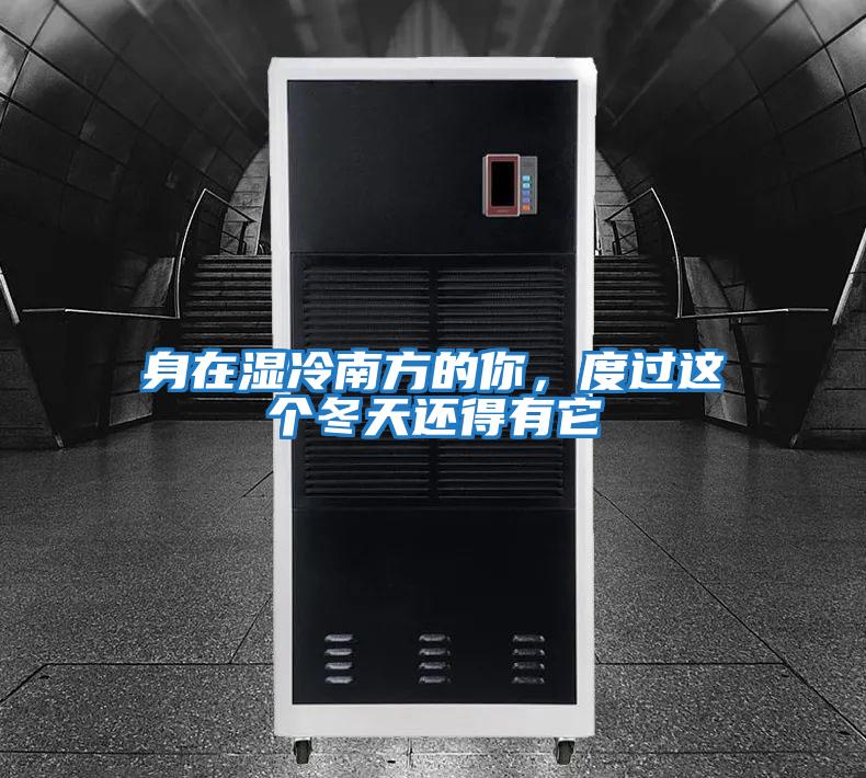 身在濕冷南方的你，度過這個冬天還得有它