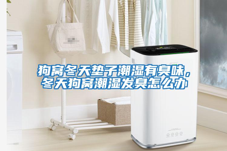 狗窩冬天墊子潮濕有臭味，冬天狗窩潮濕發臭怎么辦