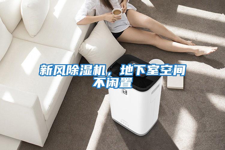 新風除濕機，地下室空間不閑置