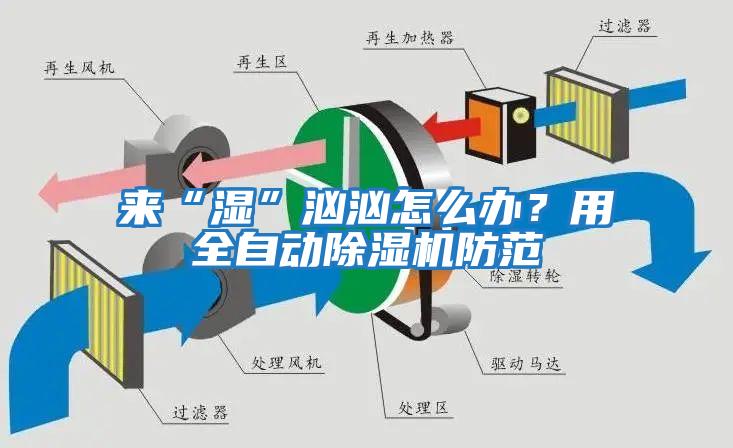 來“濕”洶洶怎么辦？用全自動除濕機防范