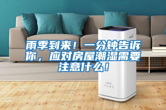雨季到來！一分鐘告訴你，應(yīng)對(duì)房屋潮濕需要注意什么！