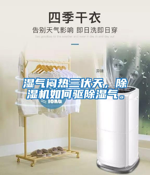 濕氣悶熱三伏天，除濕機(jī)如何驅(qū)除濕氣。