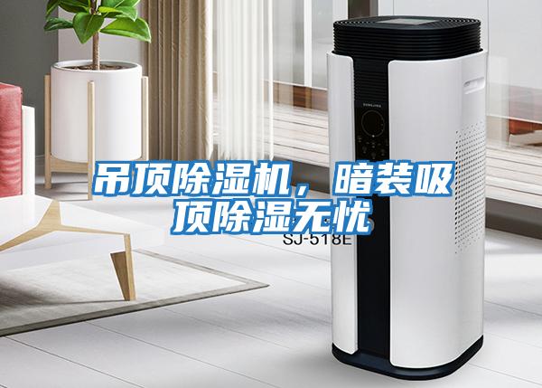 吊頂除濕機，暗裝吸頂除濕無憂