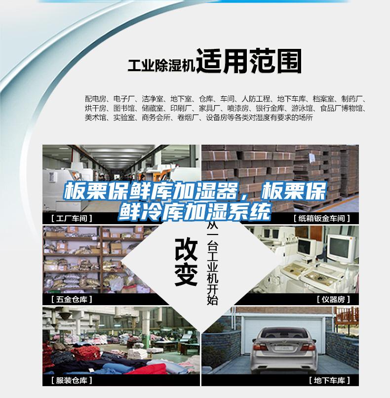 板栗保鮮庫加濕器，板栗保鮮冷庫加濕系統(tǒng)