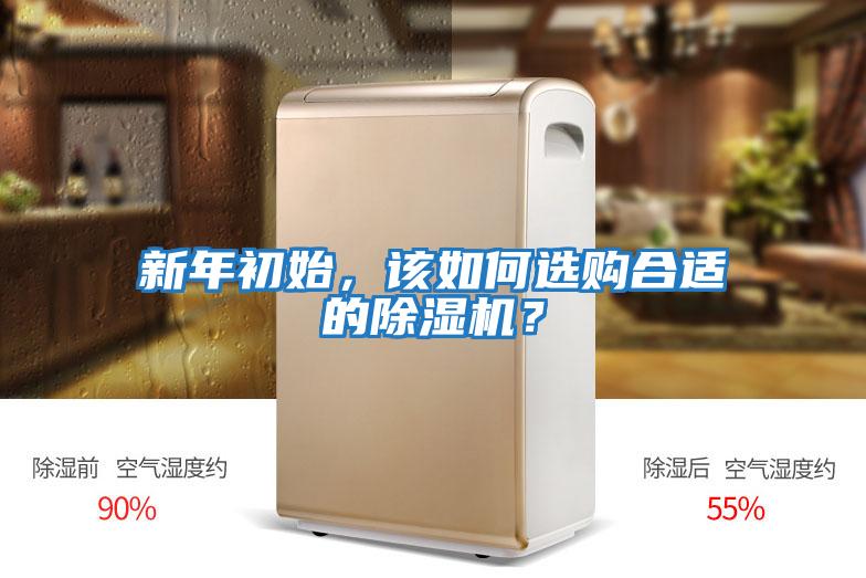 新年初始，該如何選購合適的除濕機？
