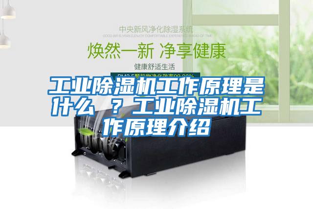 工業除濕機工作原理是什么 ？工業除濕機工作原理介紹