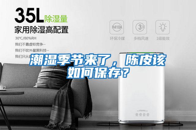 潮濕季節來了，陳皮該如何保存？