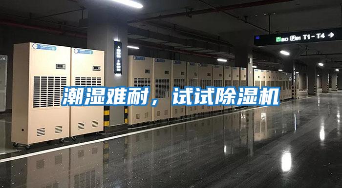 潮濕難耐，試試除濕機