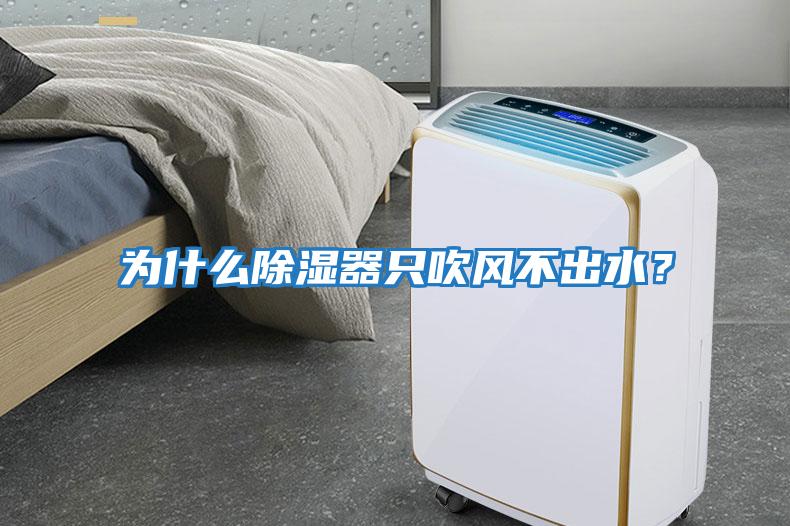 為什么除濕器只吹風不出水？