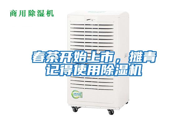 春茶開(kāi)始上市,攤青記得使用除濕機(jī)