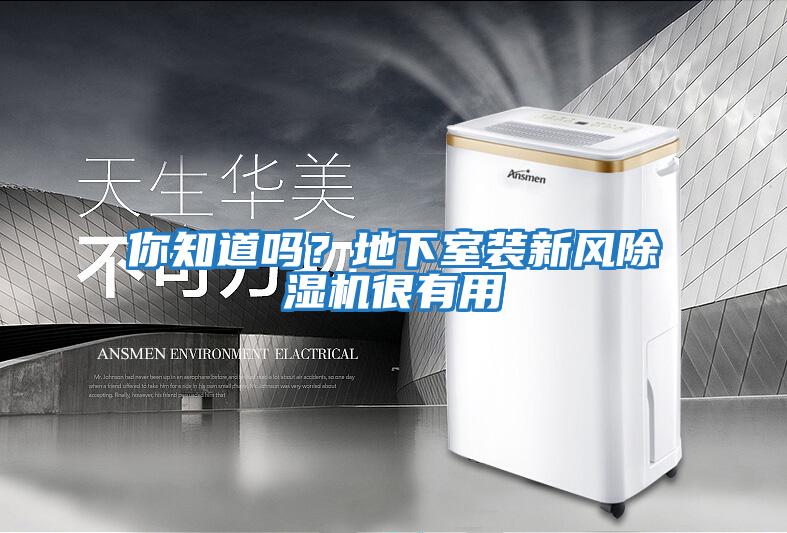 你知道嗎？地下室裝新風(fēng)除濕機(jī)很有用