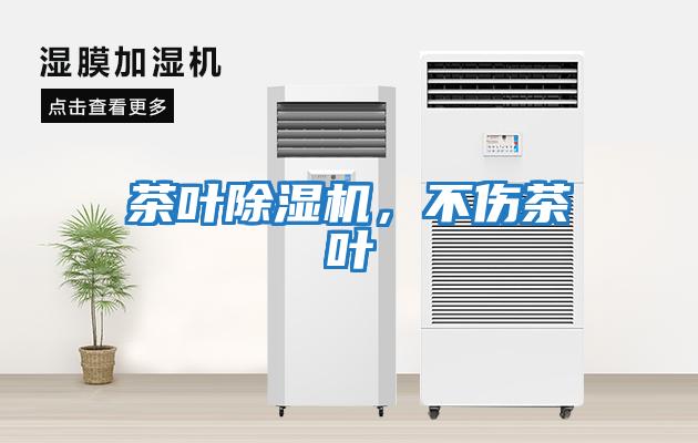 茶葉除濕機，不傷茶葉