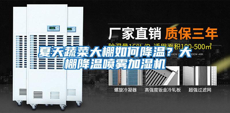 夏天蔬菜大棚如何降溫？大棚降溫噴霧加濕機